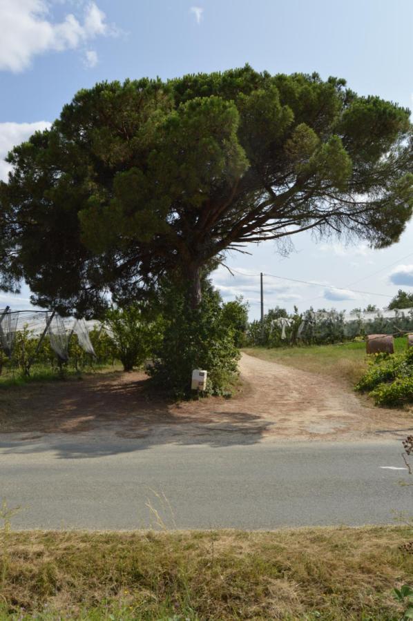 Gite Rural De Caractere Guerin ภายนอก รูปภาพ